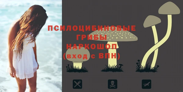 крисы Бугульма
