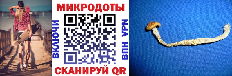 Галлюциногенные грибы MAGIC MUSHROOMS Дмитровск